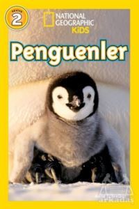 Penguenler - 1