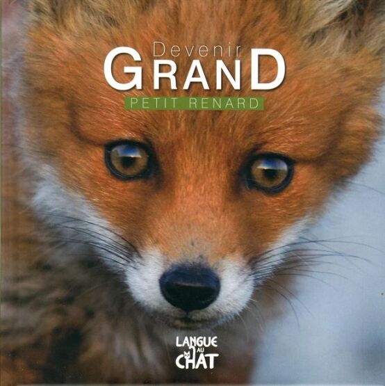 Petit renard - Langue Au Chat