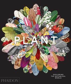 Plant: Exploring The Botanical World - 1