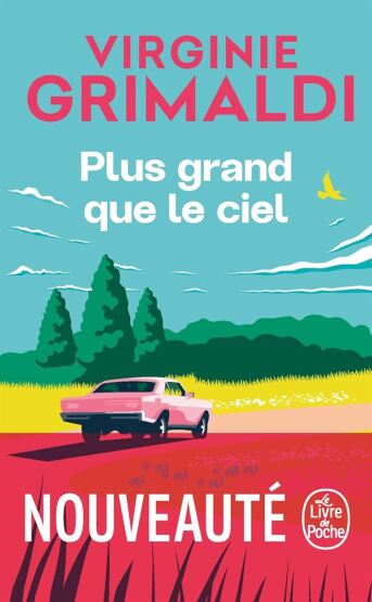 Plus grand que le ciel - Le Livre de Poche