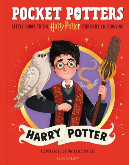 Pocket Potters 1: Harry Potter (Little Guides To The Harry Potter Stories) - Bloomsbury