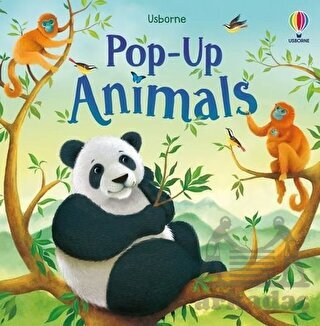 Pop-Up Animals - Usborne Publishing UK