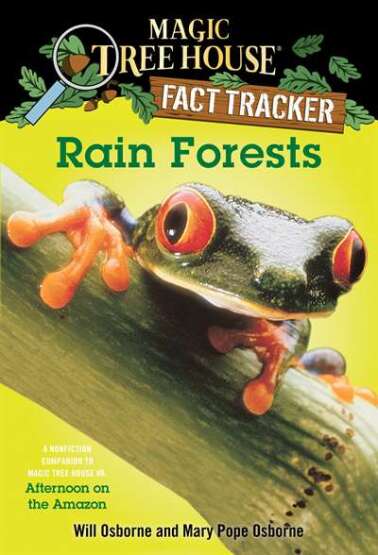 Rain Forests - 1