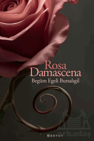 Rosa Damascena (Damask Gülü) - 1