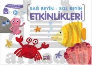 Sağ Beyin - Sol Beyin Etkinlikleri 6 Yaş - Minik Ada