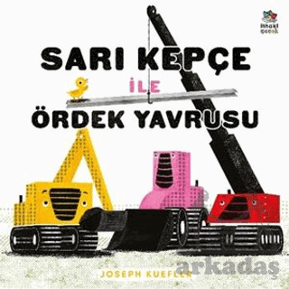 Sarı Kepçe İle Ördek Yavrusu - 1