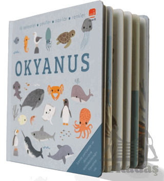 Say Bul Eğlen Okyanus - Uçan Fil Yayınları