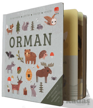 Say Bul Eğlen Orman - Uçan Fil Yayınları