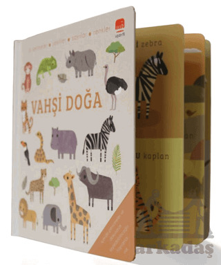 Say Bul Eğlen Vahşi Doğa - Uçan Fil Yayınları