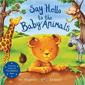 Say Hello To The Baby Animals - Macmillan Children’s