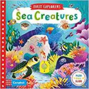 Sea Creatures (First Explorers) - Campbell Books