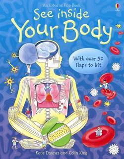 See Inside Your Body - Usborne Publishing UK