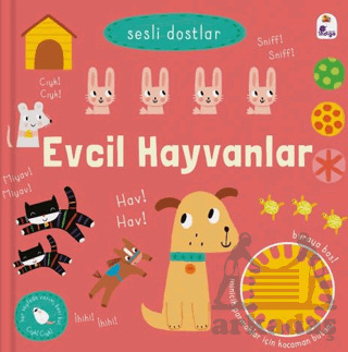Sesli Dostlar – Evcil Hayvanlar (Sesli Kitap) - 1