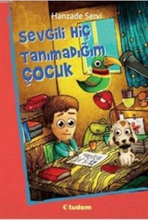Sevgili Hiç Tanımadığım Çocuk - Tudem Yayınları