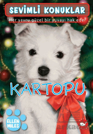 Sevimli Konuklar 2 - Kartopu - Beyaz Balina Yayınları