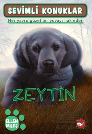 Sevimli Konuklar 3 - Zeytin - 1