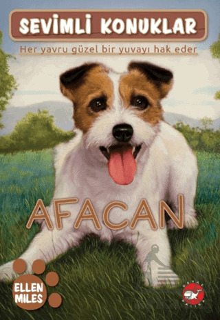 Sevimli Konuklar 4 - Afacan - Beyaz Balina Yayınları