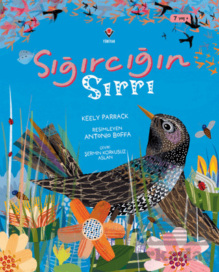 Sığırcığın Sırrı - 1