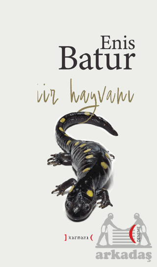 Şiir Hayvanı - Kırmızı Yayınları