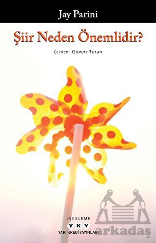 Şiir Neden Önemlidir? - Yapı Kredi Yayınları