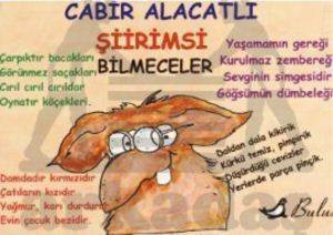 Şiirimsi Bilmeceler; Mizah Dizisi - 1