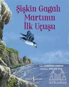 Şişkin Gagalı Martının İlk Uçuşu - 1