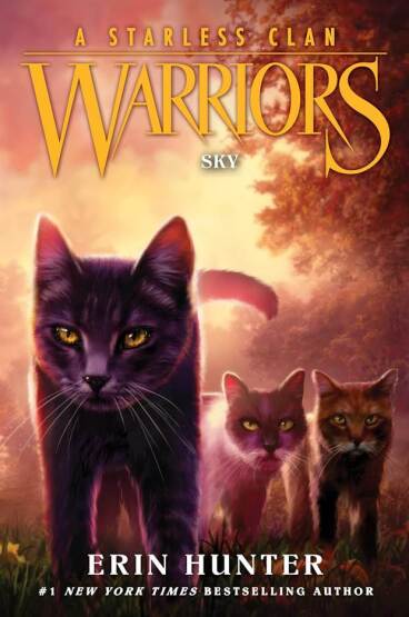 Sky - Warriors. A Starless Clan - Harper Collins USA