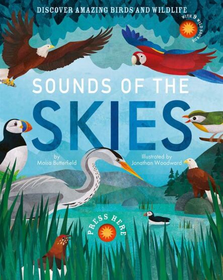 Sounds Of The Skies - Little Tiger Press