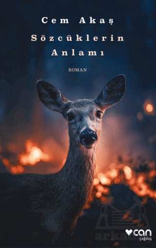 Sözcüklerin Anlamı - Can Yayınları