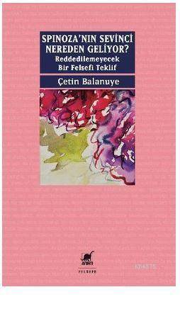 Spınoza'Nın Sevinci Nereden Geliyor? Reddedilemeyecek Bir Felsefi Teklif - Ayrıntı Yayınları