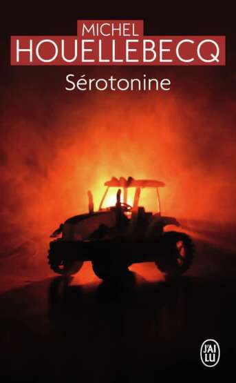 Sérotonine - 1