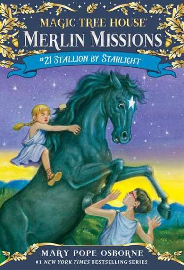 Stallion by Starlight - Random House USA