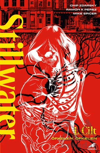 Stilwater 1 - Kara Karga Yayınları