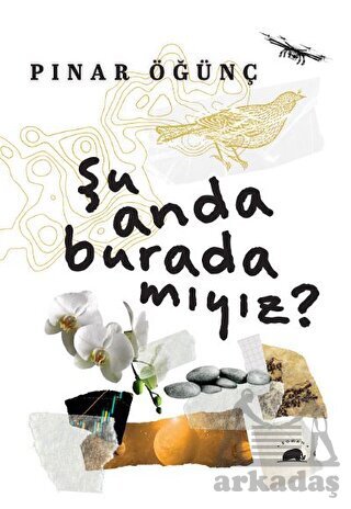 Şu Anda Burada Mıyız? - Kolektif Kitap
