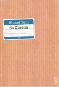 Su Çürüdü - Everest Yayınları