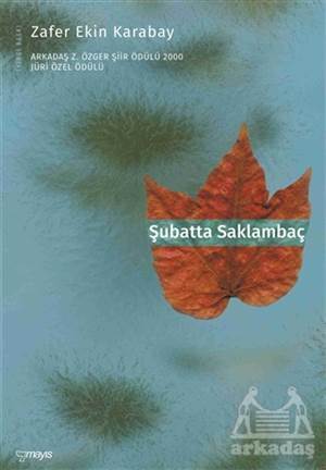 Şubatta Saklambaç - Mayıs Yayınları