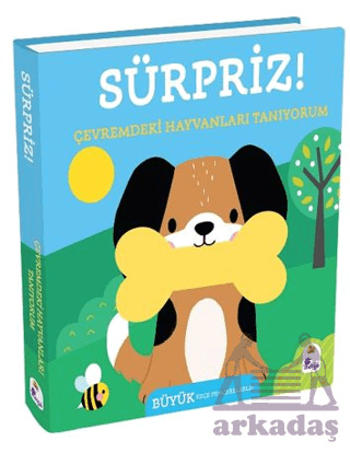 Sürpriz! – Çevremdeki Hayvanları Tanıyorum - 1