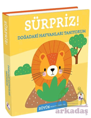 Sürpriz! – Doğadaki Hayvanları Tanıyorum - 1