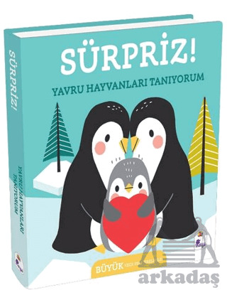 Sürpriz! – Yavru Hayvanları Tanıyorum