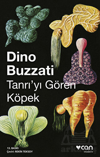 Tanrı'yı Gören Köpek - 1