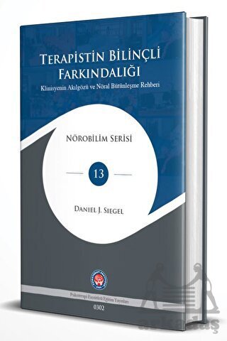 Terapistin Bilinçli Farkındalığı – Klinisyenin Akılgözü Ve Nöral Bütünleşme Rehberi - 1