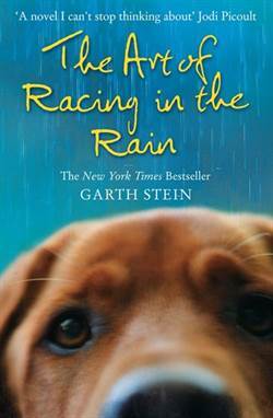 The Art Of Racing In The Rain - 1