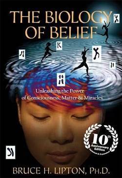 The Biology of Belief: Unleashing the Power of Consciousness, Matter, & Miracles - Hay House UK