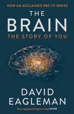 The Brain: The Story Of You - 1