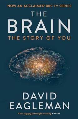 The Brain: The Story Of You - Canongate Books