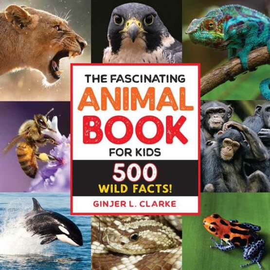 The Fascinating Animal Book for Kids
500 Wild Facts!
- Fascinating Facts - 1