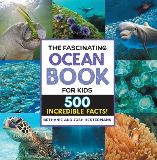 The Fascinating Ocean Book for Kids
500 Incredible Facts!
- Fascinating Facts - Callisto Kids