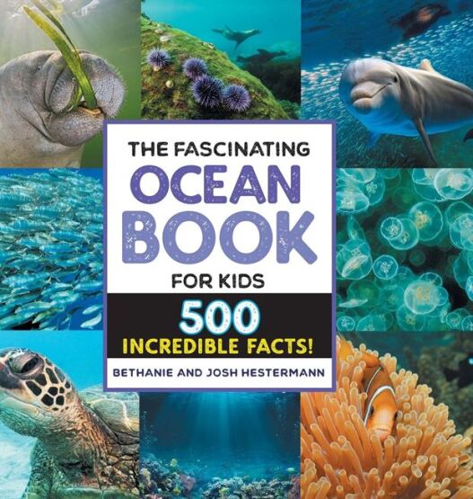 The Fascinating Ocean Book for Kids - 1