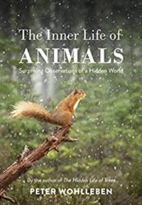 The Inner Life Of Animals: Surprising Observations Of A Hidden World - 1