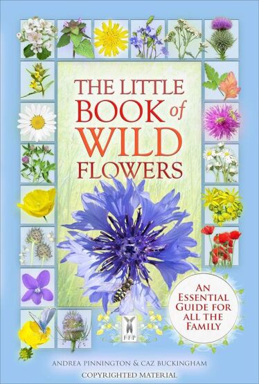 The Little Book of Wild Flowers A New World to Discover - Fine Feather Press